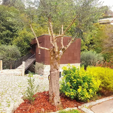 Moinhos Carvalhas * Arcos de Valdevez