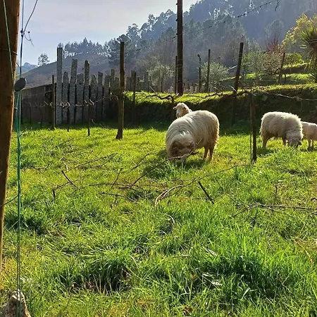 Casa de Férias Moinhos Carvalhas Arcos de Valdevez