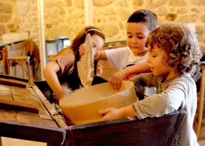 Moinhos Carvalhas Casa de Férias *