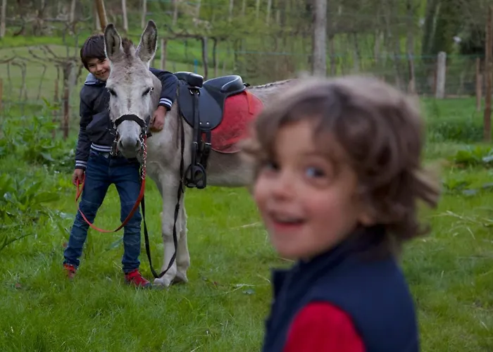 펜션 Moinhos Carvalhas 아르코스 데 발데베즈