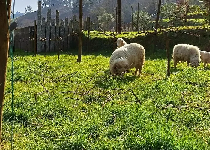 Casa de Férias Moinhos Carvalhas Arcos de Valdevez